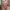 MANGO halter tanktop pink press body photo 2