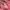 MANGO halter tanktop pink press body photo 6