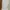 Nobby Outer photo 1