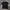 Ellesse Baseline Tshirt Black photo 1