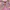 minidress snoppy babypink fullprint disney coquette y2k photo 3