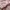 dress Mezzo Piano babypink bordir floral rare cute coquette photo 7