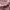 dress Mezzo Piano babypink bordir floral rare cute coquette photo 6