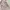 dress Mezzo Piano babypink bordir floral rare cute coquette photo 3
