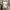 beige long sleeve knit halus press body photo 3