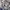 Top kemben floral navy presbody cute coquette kawaii y2k photo 2