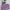 celana pendek lilac photo 1