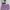Celana Pendek Lilac