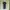 DRESS HITAM LUCU MURAH photo 3