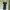 DRESS HITAM LUCU MURAH photo 1