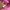 Y2k Miss Sixty Flared Pants Pink Made In Italy photo 3