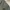 Uniqlo Crewneck Army T-Shirt photo 2