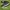 Puma Suede  photo 1