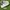 Reebok c85  photo 1