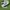 Adidas sl72  photo 1