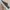 ECCO Soft 7 Mens Sneakers Leather photo 1