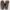 Nero Giardini Zipper Leather Brown Italy Boots photo 5