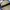Loafers CLARKS Tassel Model photo 6