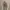 wanted photo 1