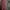 Jersey Bayer Leverkusen 2015 Home Adidas Original photo 5