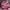 Patchford Sweater Pink Rajut 100% Pure Wool Ireland photo 1