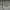Confirm puffer padded jacket Hooded  photo 4
