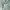 PEARL luxury blouse korea mint puffy short shirts photo 5