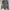 Lafiye Ode Sculpting Flare Suit in Clover photo 1