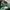 Lafiye Ode Sculpting Flare Suit in Clover photo 2