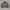 Vintage Kalcer Jacket by Rich Face photo 2