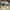 Skechers D'Lux Pro Women's Training Shoes photo 2