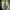 Vans sk8-mid green unisex  photo 6