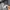 Casual Trench coat Pria gray photo 4