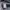 Jacket Harrington Uniform Beams Circus photo 8