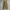 Back & Forth longpants washed olive jeans, Regular Straight  photo 6