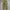 Back & Forth longpants washed olive jeans, Regular Straight  photo 4
