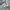 Sepatu Nike V2K Run Summit White Metallic Silver photo 1