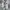 Sepatu Nike V2K Run Summit White Metallic Silver photo 3