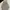 hoodie reebook photo 1