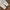 VANS Vintage Grunge Sweater Pria white photo 8