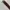 Anna Sui Vintage Y2K Belt Pria brown photo 4