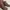 Ermenegildo Zegna Boot Size 41 photo 8