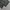 Black Day chino longpants mos green, Loose Fit photo 8
