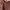 Crop top colorbox photo 2