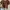 Crop top colorbox photo 1