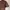 Crop top colorbox photo 3