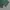 Hanger relaxed longpants forest green, Ankle Fit photo 8