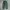 Hanger relaxed longpants forest green, Ankle Fit photo 6