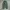 Hanger relaxed longpants forest green, Ankle Fit photo 3