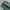 Hanger relaxed longpants forest green, Ankle Fit photo 7